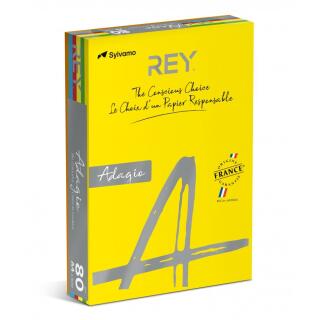 Papier kolorowy REY Adagio A4/80g Intense, 500 arkuszy, miks kolorów 5 kolorów