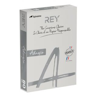 Papier kolorowy REY Adagio A4/80g Vive/Bright 500 arkuszy, jasny 06 - szary