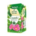 Herbata ziołowa Herbapol Zielnik Polski Czystek, torebki bez sznureczków 20 torebek