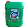 Płyn do toalet Domestos Pine Fresh, żel do WC, dezynfekujący 5L