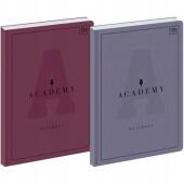 Brulion Interdruk Academy A4, zeszyt w kratkę, papier 90g, t...
