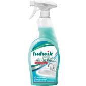 Mleczko do czyszczenia łazienki w sprayu Ludwik Aktywna Pian...