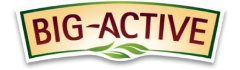logo Big-Active